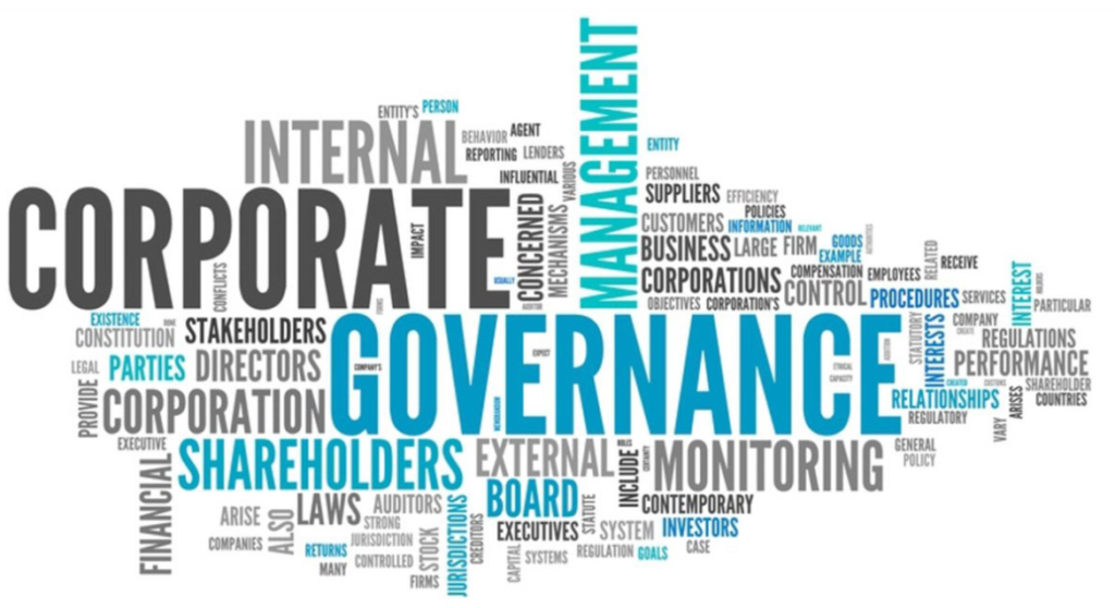 governance proprietaria aziendale