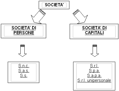 societa e forme societarie